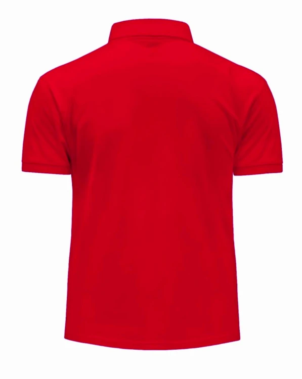 polo tył.jpg